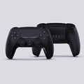 PS5 Basic Pick